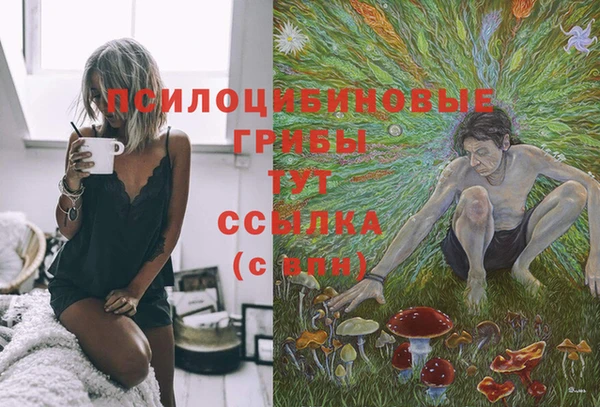 дурь Белоозёрский
