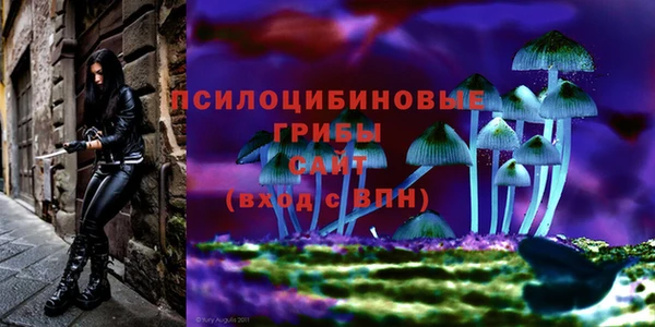 дурь Белоозёрский