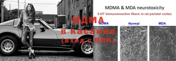прущие крисы Беломорск